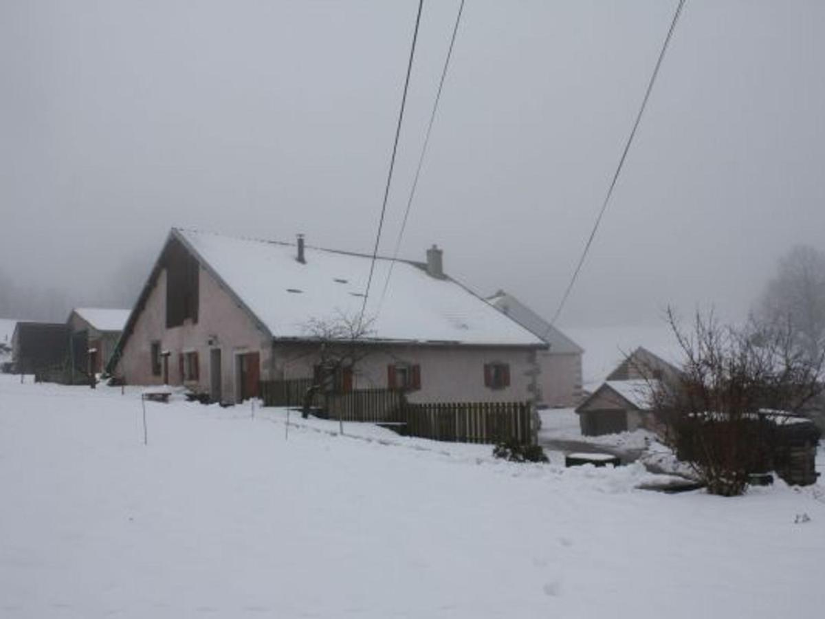 Gite Paisible A 650M D'Alt., Nature, Cheminee, 3 Ch. Pres De Remiremont & Plombieres, Terrasse, Grand Terrain - Fr-1-589-50 Girmont-Val-dʼAjol 외부 사진